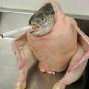 Meet your Posher, Layla